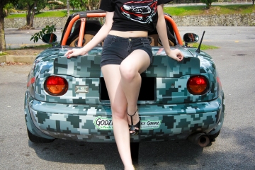 z-8